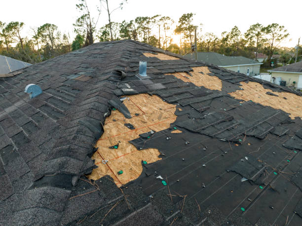 Best Commercial Roofing Services  in Dover Base Housing, DE